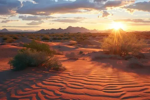 The Silent Sahara: Redefining Luxury in Isolation